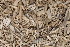 biomass boilers Tricombe